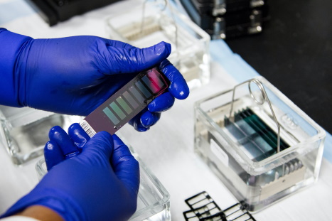 How accurate are saliva swab DNA tests?